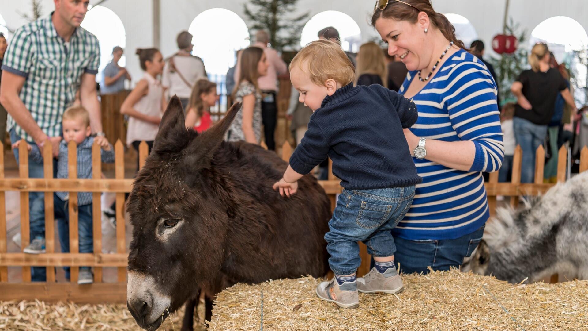 Eine Frau hilft einem kleinen Kind, einen Esel auf einem Heuballen in einem Streichelzoo zu streicheln, während im Hintergrund hinter einem Holzzaun andere Menschen und Kinder zu sehen sind.