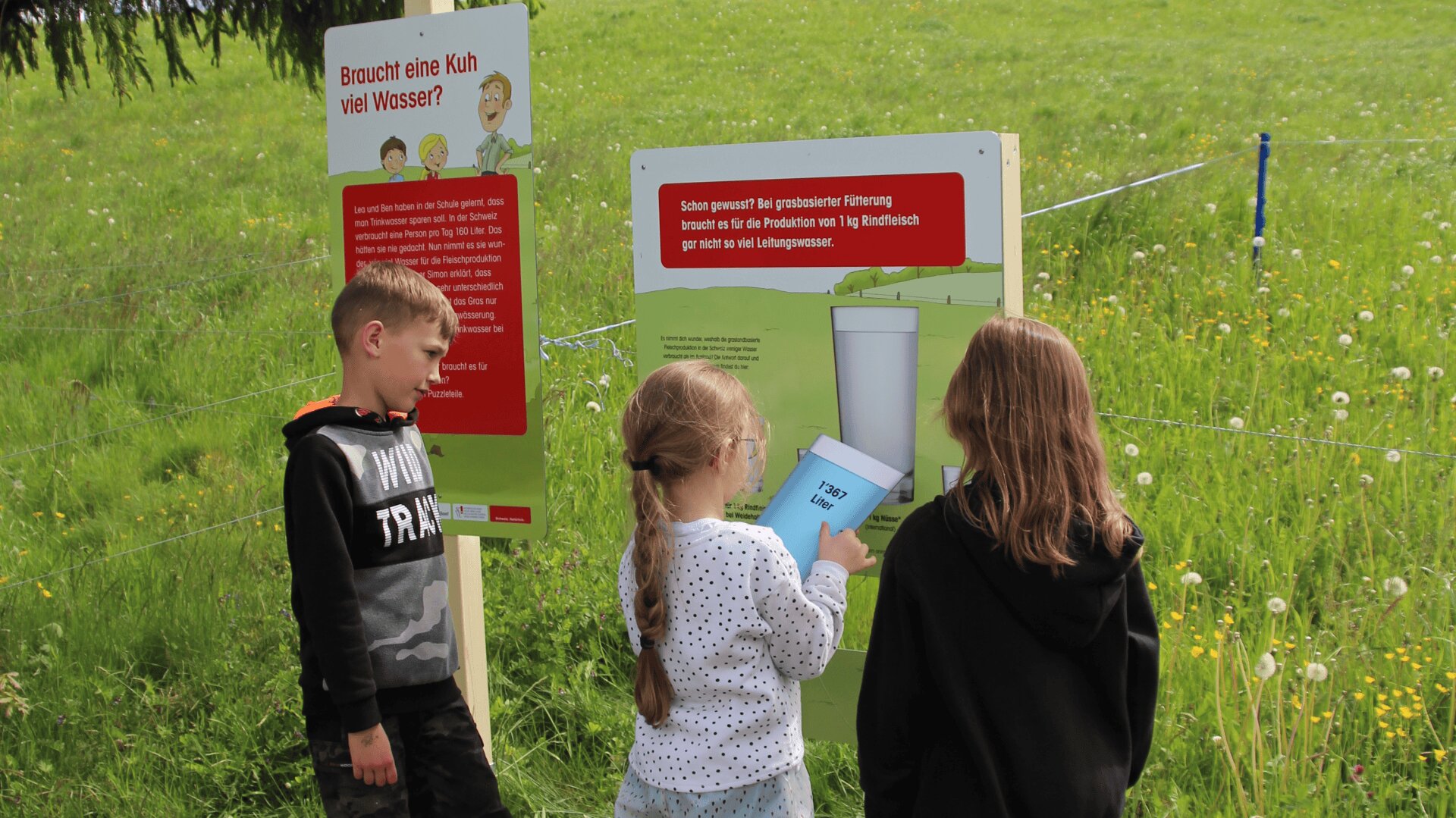 Drei Kinder stehen im Freien vor einer Lehrtafel über Kühe und Wasser. Zwei Schilder mit deutschen Texten und Bildern sind zu sehen, und die Kinder interagieren mit der Ausstellung auf einer Wiese mit Wildblumen.