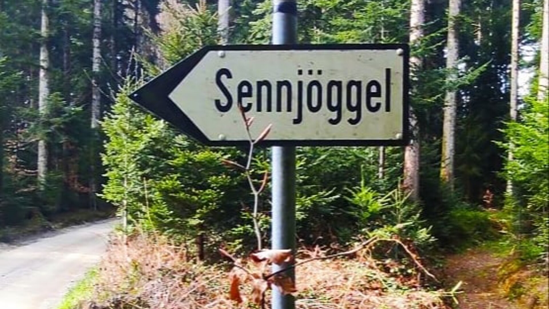Ein metallener Wegweiser mit einem Pfeil und dem Wort SennjöggeI weist nach links auf einen Pfad durch einen Wald mit hohen grünen Bäumen, durch die das Sonnenlicht fällt.