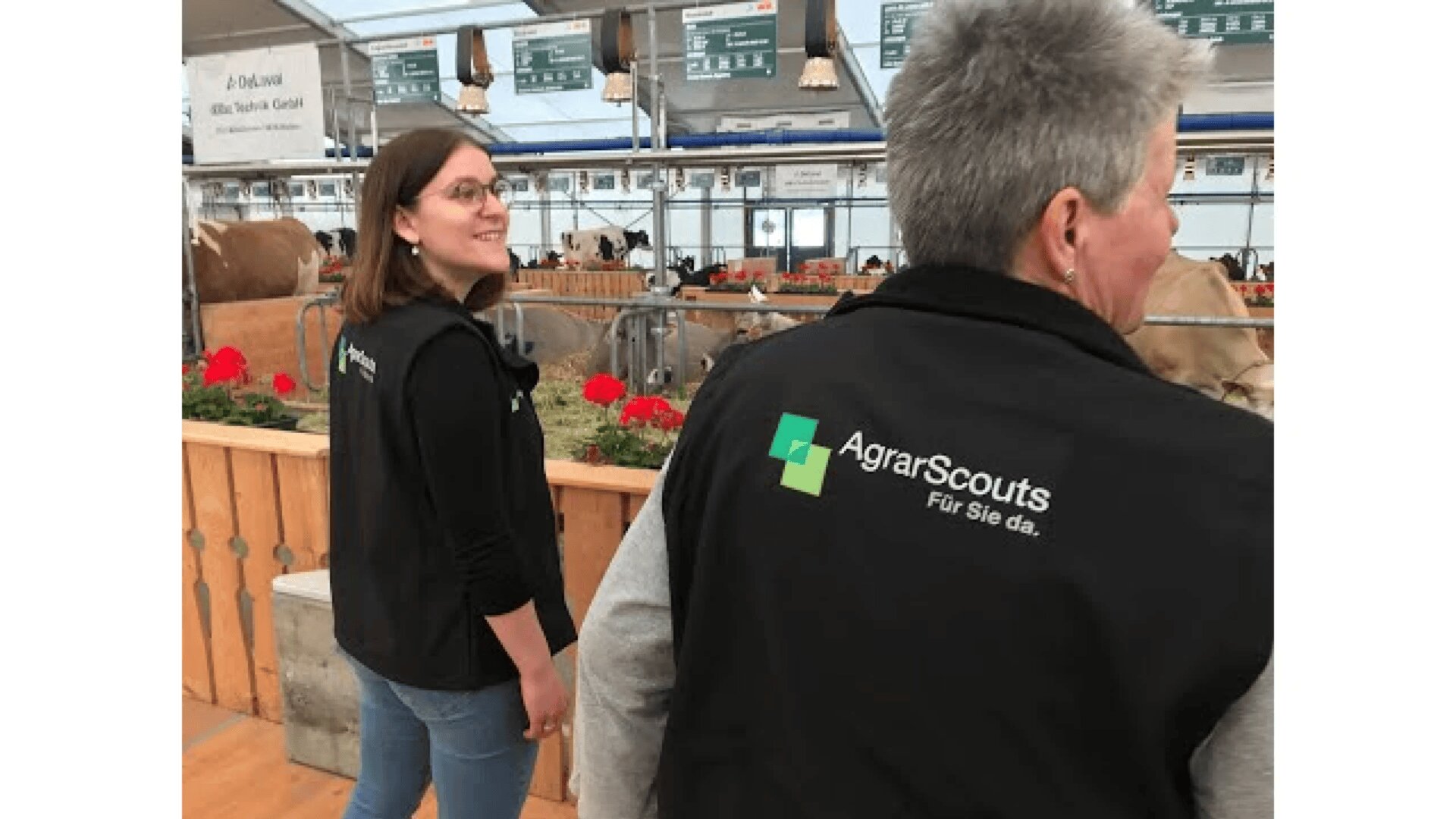 Zwei Personen, die schwarze Westen mit dem Logo und dem Text AgrarScouts Für Sie da. tragen, stehen in einem Innenraum in der Nähe von Rinderställen bei einer landwirtschaftlichen Veranstaltung. Rote Blumen schmücken die Fläche hinter ihnen.