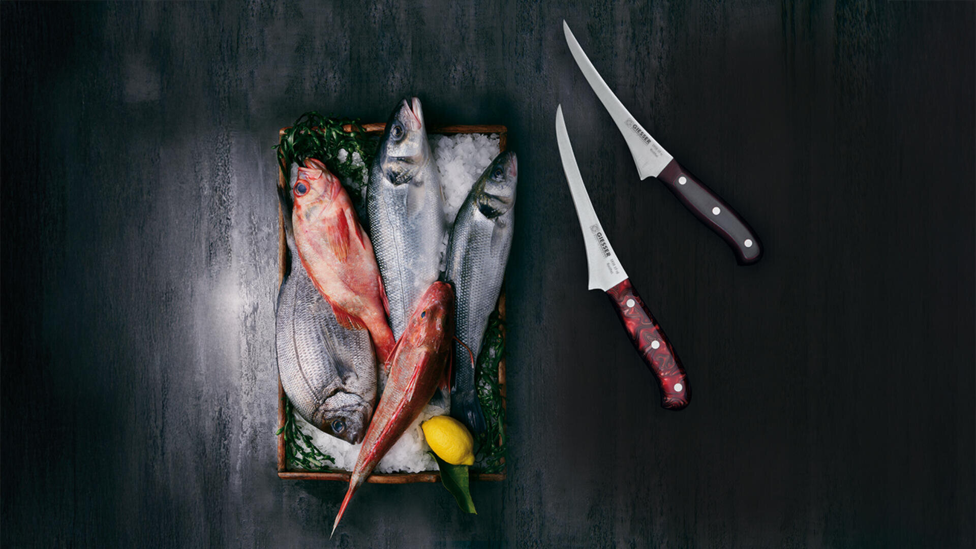 Ein Tablett mit ganzem, rohem Fisch auf Eis mit einer Zitronenspalte, das auf einer dunklen Fläche steht. Zwei Filetiermesser mit unterschiedlichen Griffen liegen neben dem Tablett.
