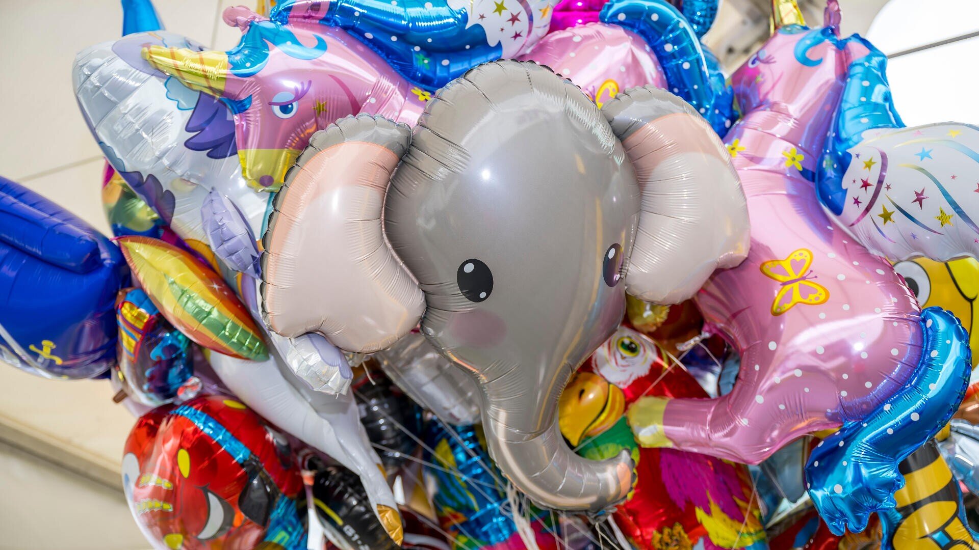 Eine Ansammlung von bunten Folienballons mit einem großen grauen Ballon in Form eines Elefanten in der Mitte, umgeben von anderen Ballons in Form von Einhörnern, Sternen und verschiedenen Tieren.