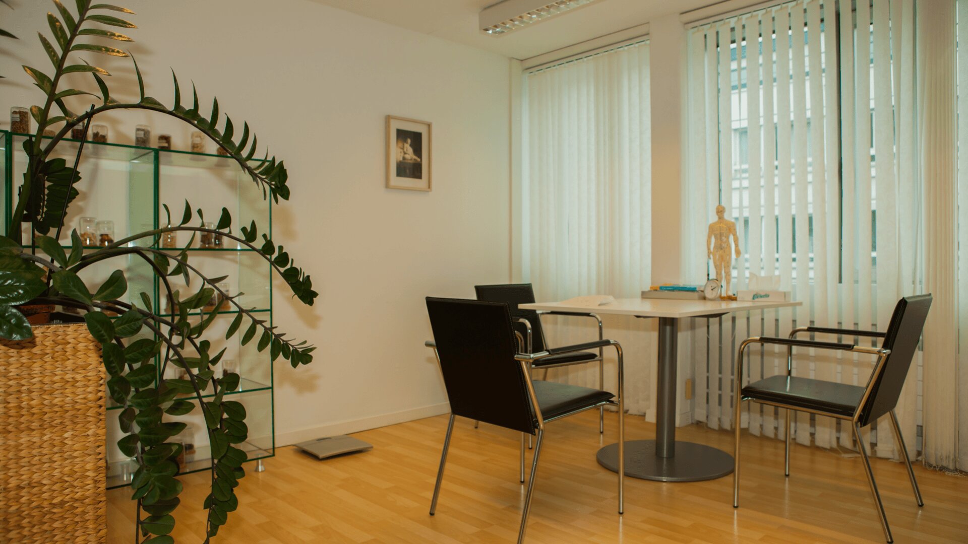 Ein modernes Büro mit hellem Holzboden, Glasregalen mit Gläsern, einer Topfpflanze, drei schwarzen Stühlen um einen kleinen runden Tisch, vertikalen Jalousien an hohen Fenstern und einem Modell der menschlichen Anatomie auf dem Tisch.