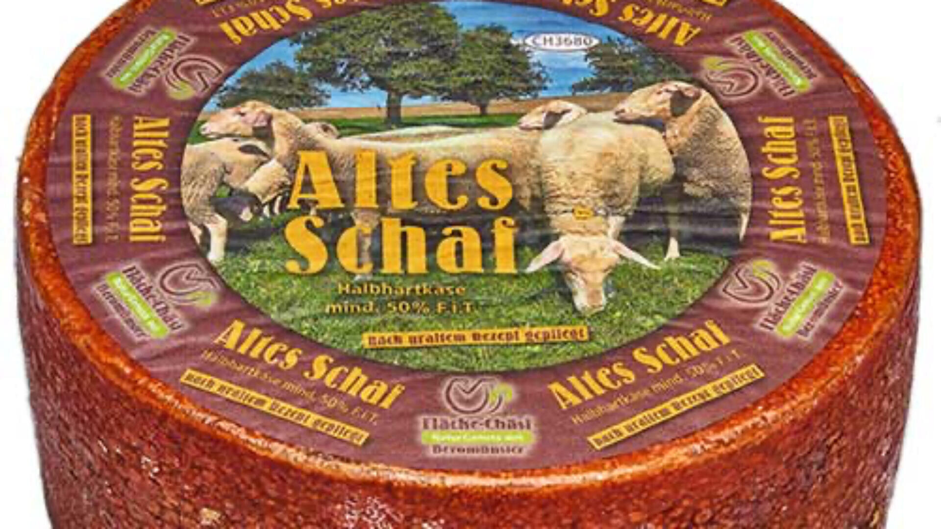 Ein runder Käselaib mit der Aufschrift "Altes Schaf", auf dem Schafe in einer pastoralen Umgebung abgebildet sind.