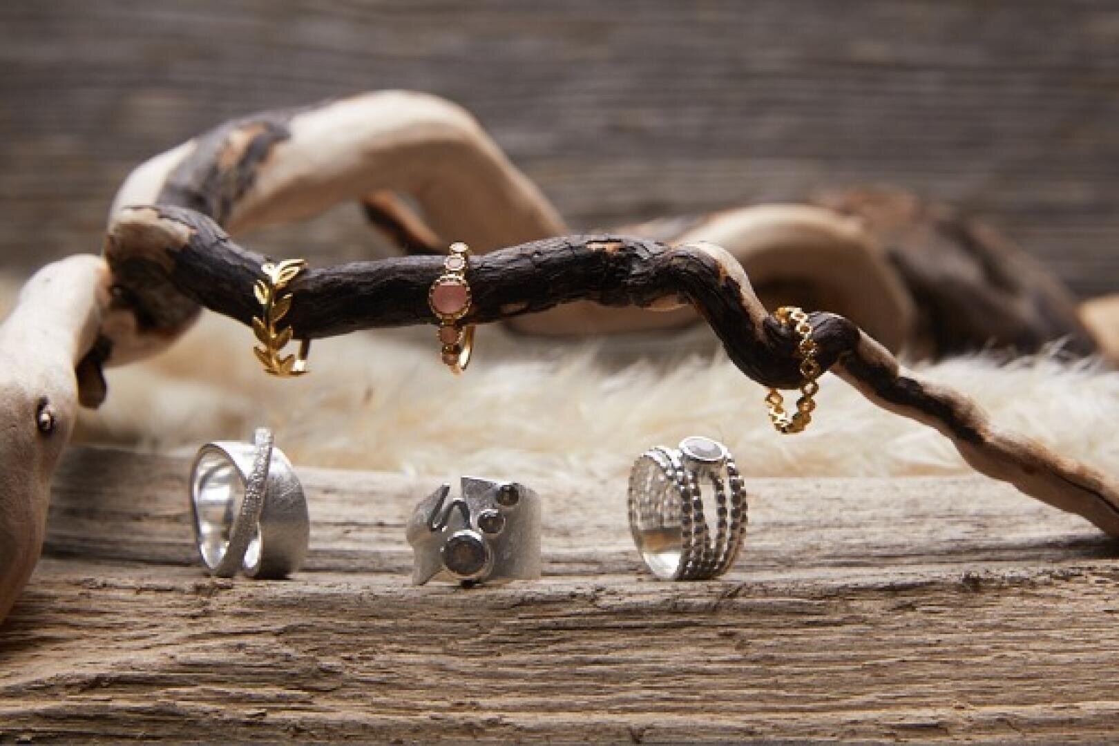 Fünf Ringe auf und um ein Stück Treibholz; drei goldene Ringe hängen vom Holz herab, zwei silberne Ringe und ein Ring mit mehreren Bändern liegen unten auf einer hölzernen Oberfläche mit einem weichen pelzigen Hintergrund.