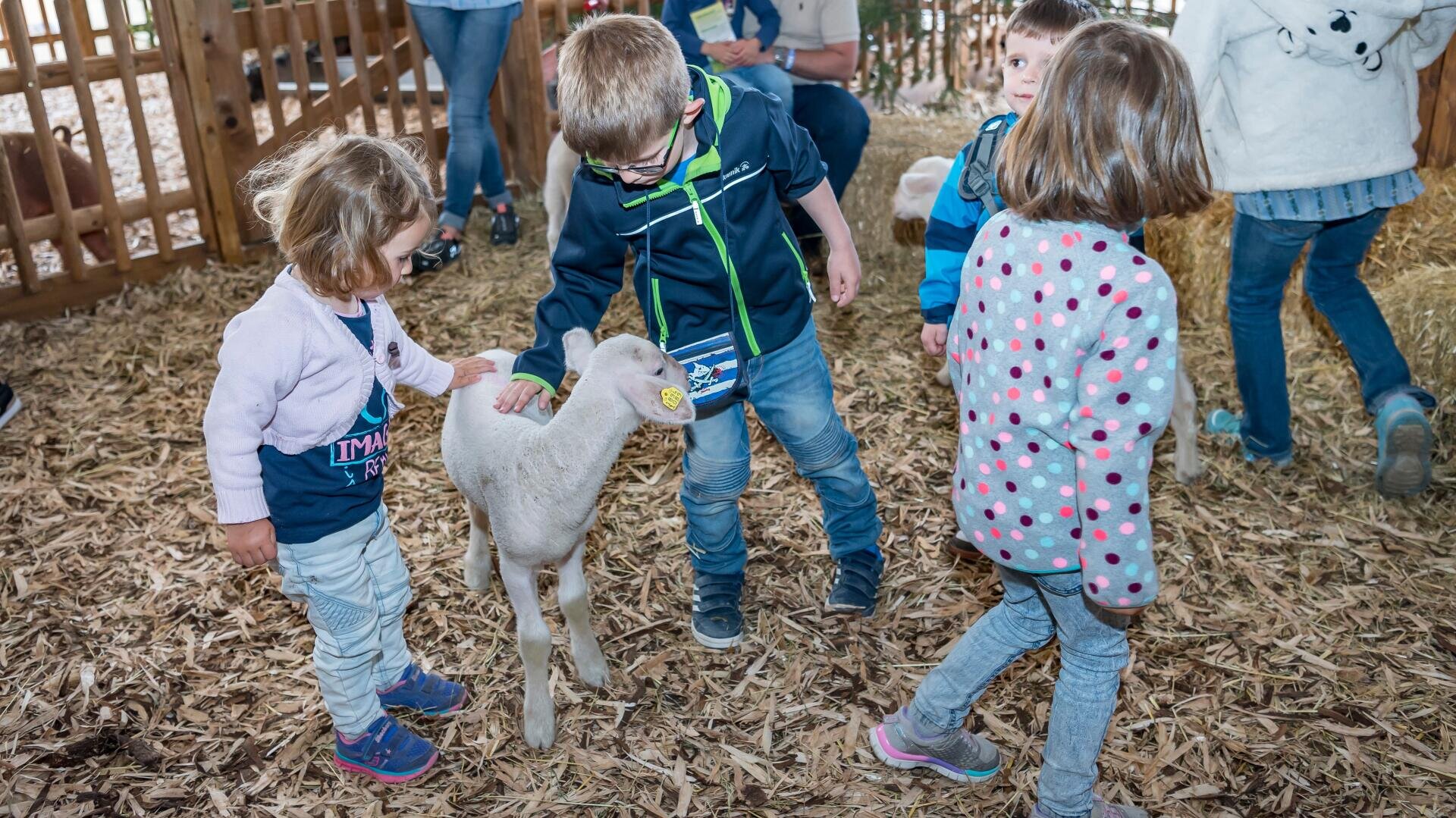 Vier kleine Kinder streicheln und beobachten ein kleines weißes Lamm in einem mit Holzspänen gefüllten Pferch. Im Hintergrund sind andere Menschen zu sehen, die eine lebhafte, freundliche Atmosphäre schaffen.