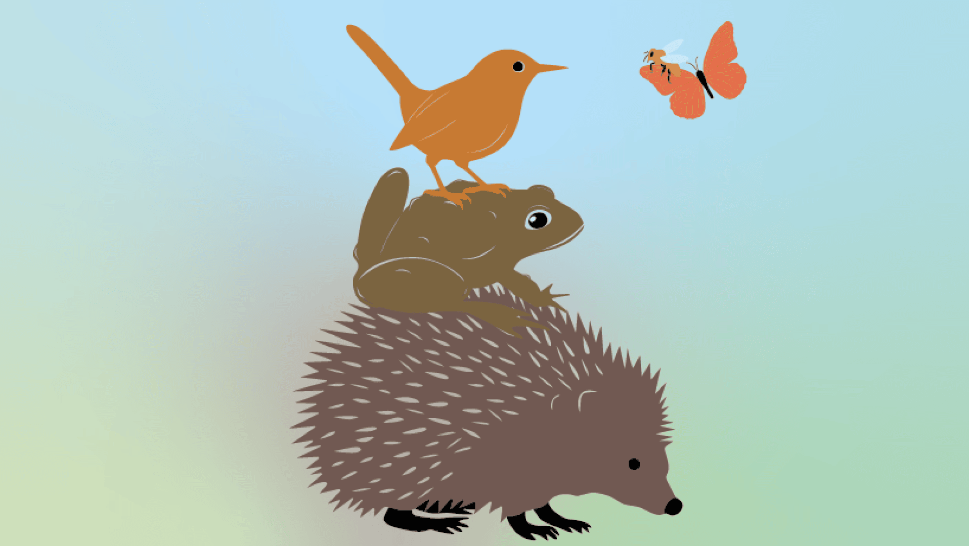 Ein illustrierter Igel steht mit einem Frosch auf dem Rücken, einem Vogel, der auf dem Frosch sitzt, und einem Schmetterling, der in der Nähe fliegt. Der Hintergrund ist ein sanfter Farbverlauf in Grün und Blau.