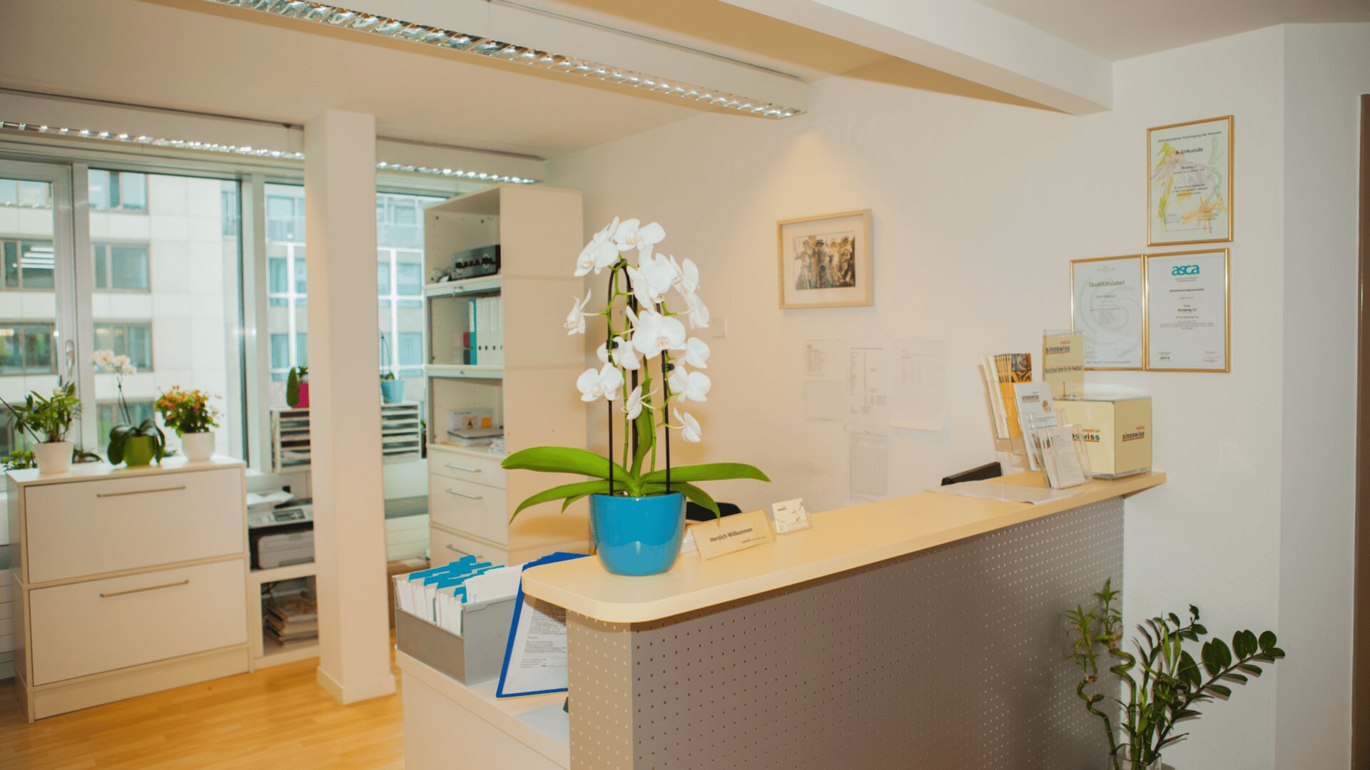 Ein moderner, heller Empfangsbereich mit einem geschwungenen Schreibtisch, einer weißen Orchidee in einem blauen Topf, Papierkram und Urkunden an der Wand. Große Fenster und Schränke bilden den Hintergrund, und Grünpflanzen sorgen für eine einladende Atmosphäre.