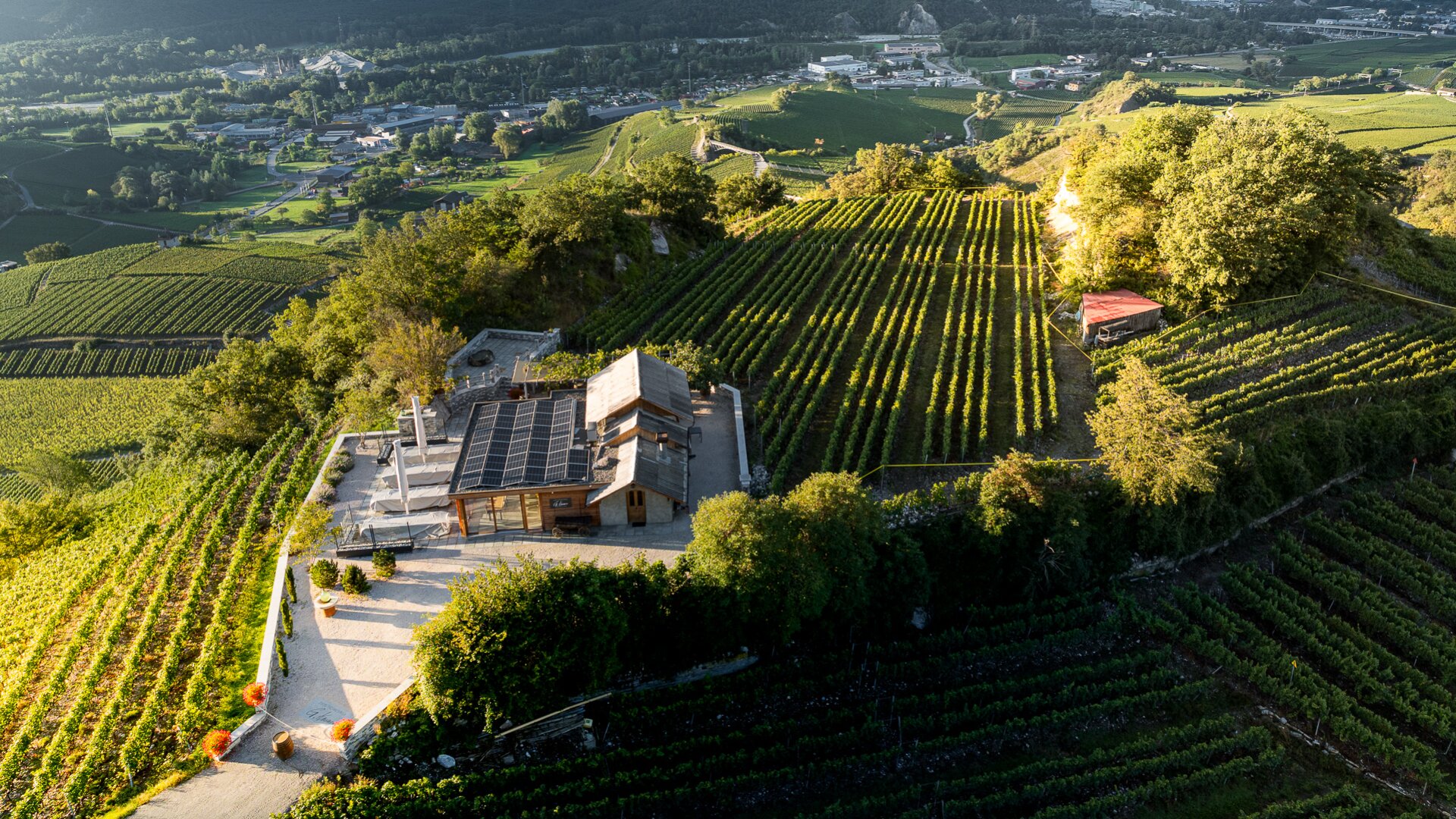 Luftaufnahme eines Hauses mit Sonnenkollektoren, umgeben von üppigen grünen Weinbergen auf einem Hügel, mit Bäumen und einem kleinen Gebäude mit rotem Dach in der Nähe, und einer Stadt im Hintergrund.