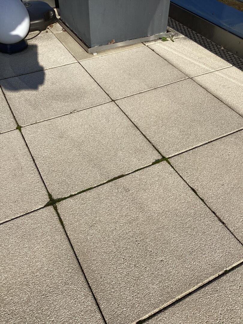 Sonnenbeschienene Fliesen im Freien mit dünnem grünen Moos, das zwischen den Fugenlinien wächst. Ein Teil eines blauen Simses, eine metallische Struktur und ein abgerundetes weißes Objekt sind an den Rändern des Bildes sichtbar.