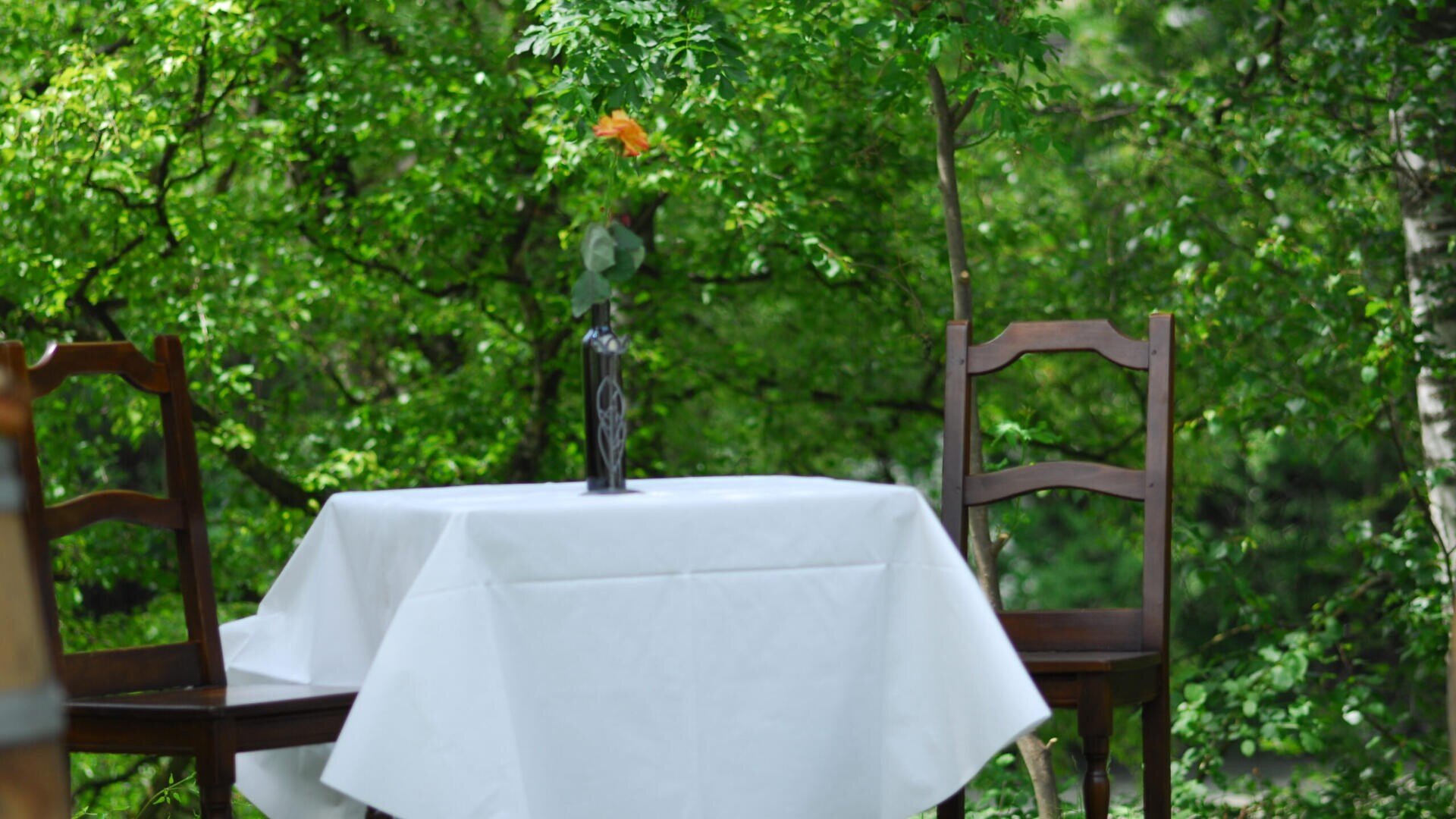 Ein kleiner Tisch im Freien mit einer weißen Tischdecke und zwei Holzstühlen steht in einem üppigen grünen Garten. Eine einzelne orangefarbene Blume in einer Vase schmückt die Mitte des Tisches.
