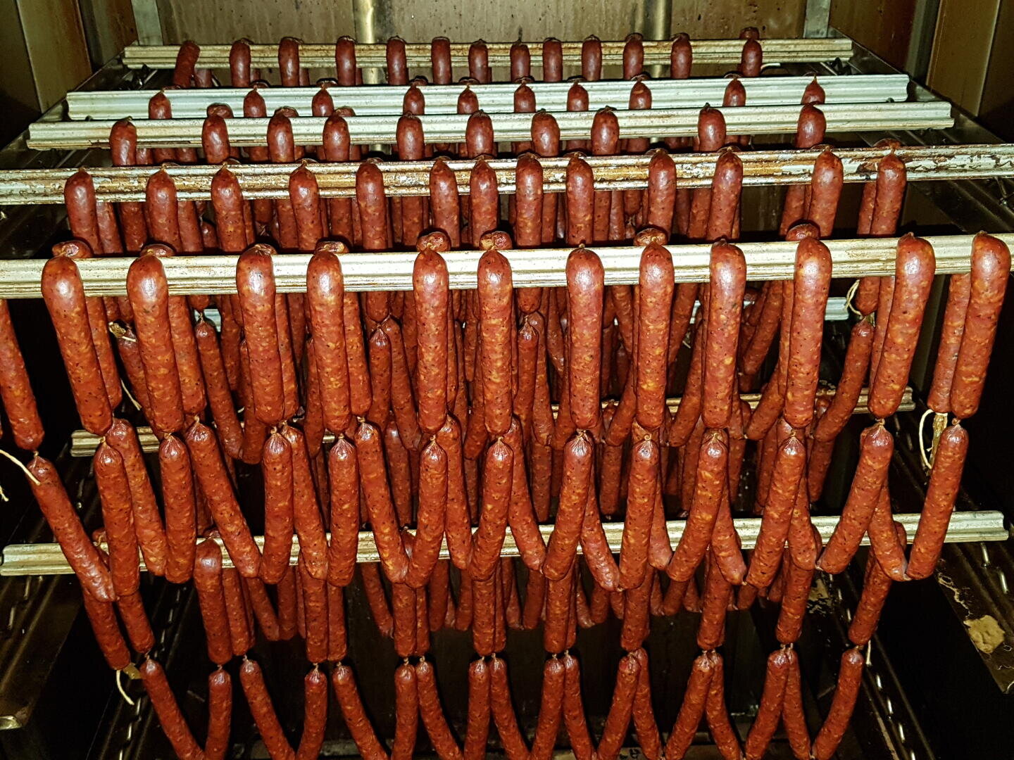Reihen von Würsten, die auf Metallgestellen in einer Räucher- oder Trockenkammer hängen und für die Verarbeitung gleichmäßig angeordnet sind.