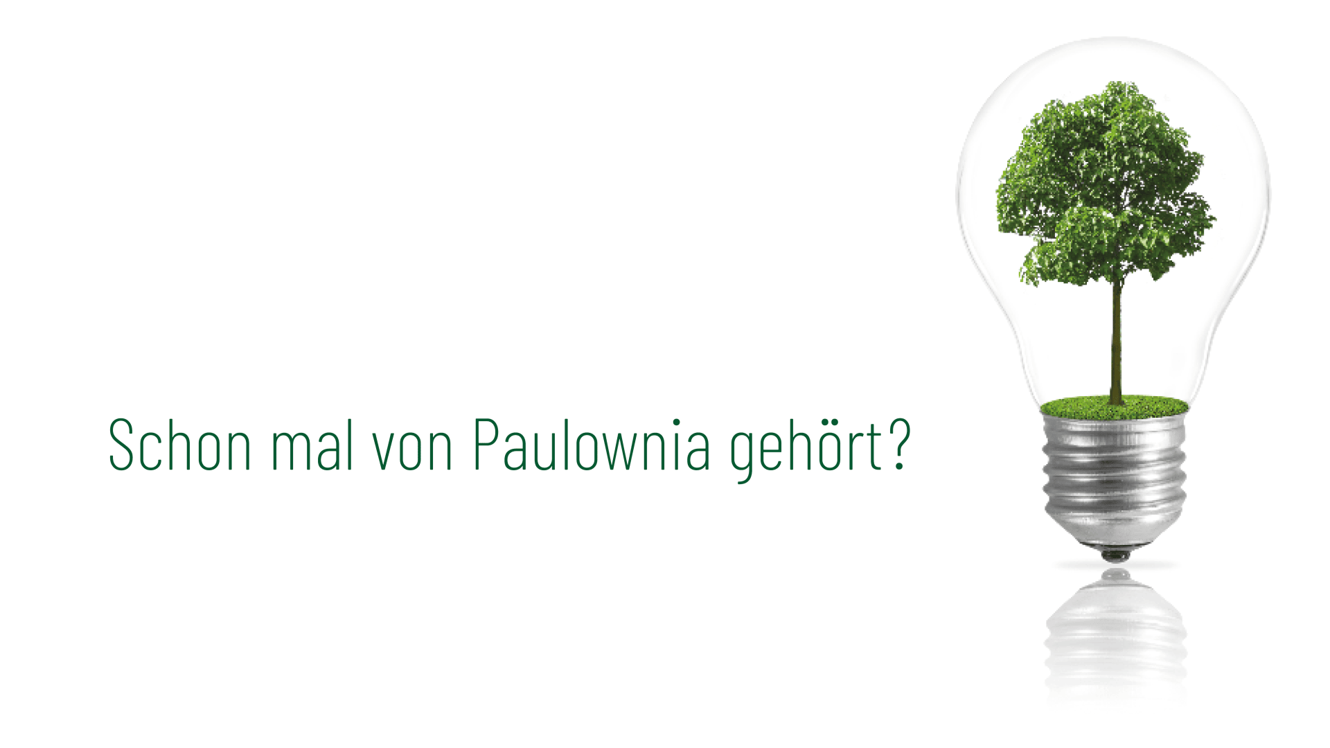 Eine Glühbirne mit einem darin wachsenden Baum steht auf einem weißen Hintergrund. Daneben steht der deutsche Text: Schon mal von Paulownia gehört? (Englisch: Ever heard of Paulownia?).