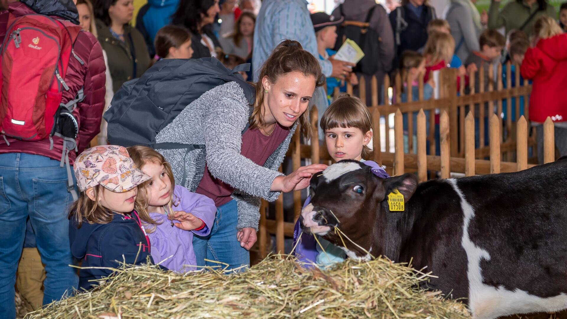 Eine Frau und drei junge Mädchen streicheln ein schwarz-weißes Kalb in der Nähe eines Heuhaufens in einem Indoor-Streichelzoo, mit einer Menschenmenge und Holzzäunen im Hintergrund.
