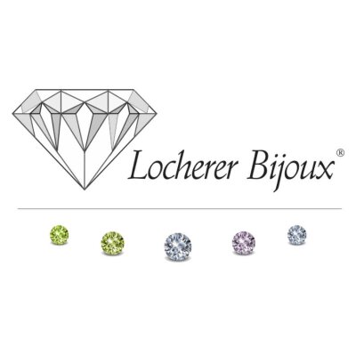 Logo Locherer AG